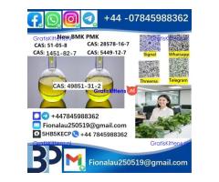 2025 Suppliers CAS 49851-31-2 2-Bromovalerophenone Hot Quality Liquid