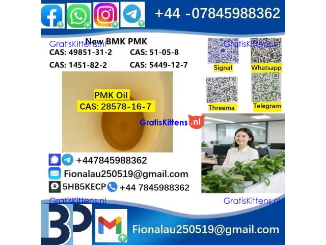 28578-16-7 PMK ethyl glycidate Oil/Powder High Purity Source Factory Safe Delivery