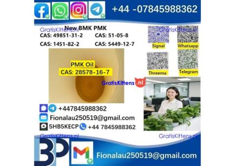 28578-16-7 PMK ethyl glycidate Oil/Powder High Purity Source Factory Safe Delivery