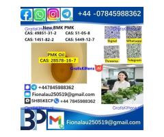 28578-16-7 PMK ethyl glycidate Oil/Powder High Purity Source Factory Safe Delivery