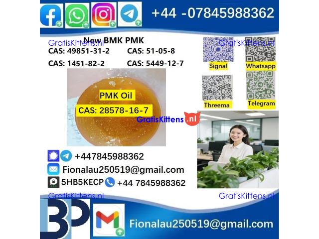 28578-16-7 PMK ethyl glycidate Oil/Powder High Purity Source Factory Safe Delivery