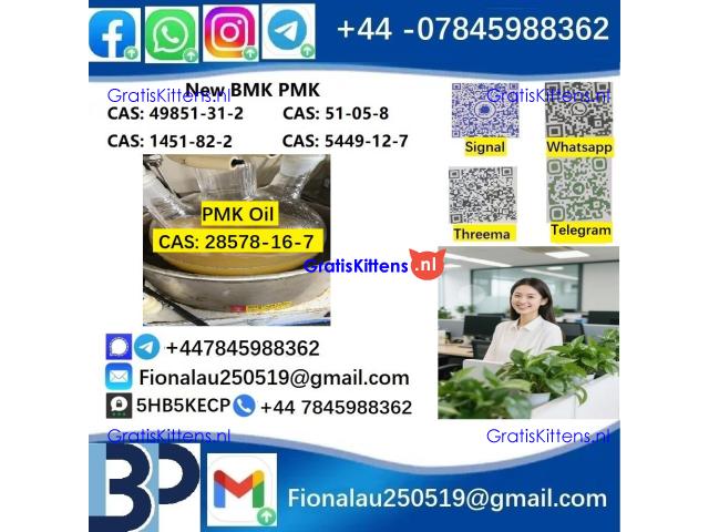28578-16-7 PMK ethyl glycidate Oil/Powder High Purity Source Factory Safe Delivery