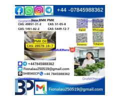 28578-16-7 PMK ethyl glycidate Oil/Powder High Purity Source Factory Safe Delivery
