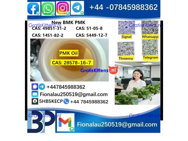 28578-16-7 PMK ethyl glycidate Oil/Powder High Purity Source Factory Safe Delivery