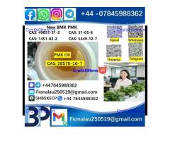 28578-16-7 PMK ethyl glycidate Oil/Powder High Purity Source Factory Safe Delivery
