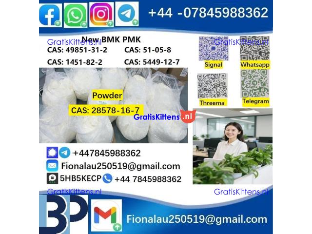B.M.K P.M.K 28578-16-7 Chemical raw materials high purity NICE