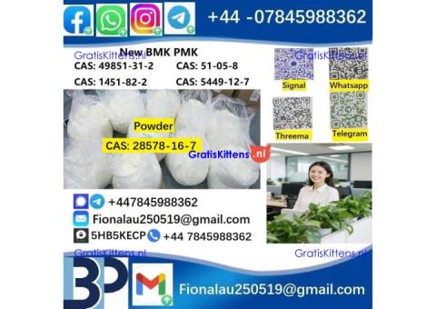 B.M.K P.M.K 28578-16-7 Chemical raw materials high purity NICE