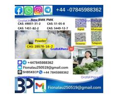 B.M.K P.M.K 28578-16-7 Chemical raw materials high purity NICE