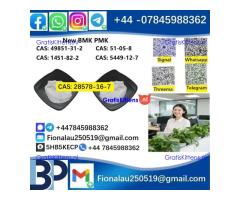28578-16-7 Germany warehouse p.m.k powder