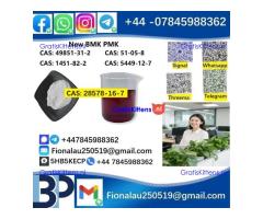 28578-16-7 P.M.K Powder Name P.M.K ethyl glycidate