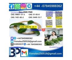 28578-16-7 P.M.K Powder Name P.M.K ethyl glycidate