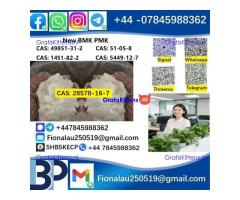 28578-16-7 P.M.K Powder Name P.M.K ethyl glycidate