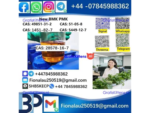 28578-16-7 P.M.K Powder Molecular Formula C13H14O5
