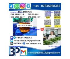 28578-16-7 P.M.K Powder Molecular Formula C13H14O5