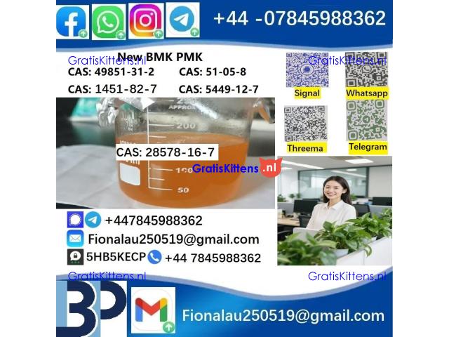 28578-16-7 P.M.K Powder Molecular Formula C13H14O5