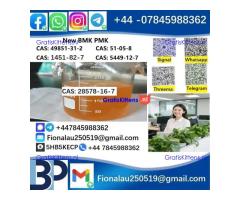 28578-16-7 P.M.K Powder Molecular Formula C13H14O5