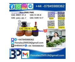 28578-16-7 P.M.K Powder Molecular Formula C13H14O5