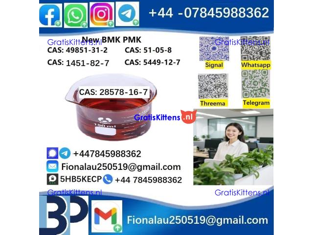 28578-16-7 P.M.K Powder Molecular Formula C13H14O5