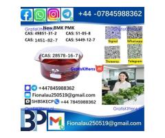 28578-16-7 P.M.K Powder Molecular Formula C13H14O5