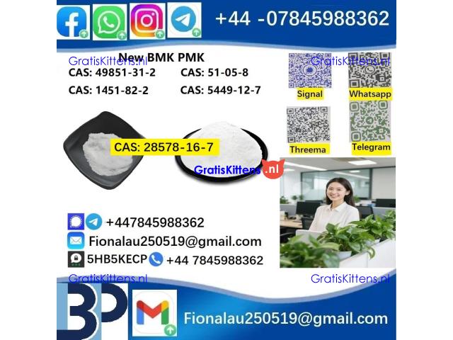 28578-16-7 P.M.K Powder P.M.K methyl glycidate