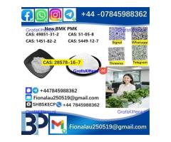 28578-16-7 P.M.K Powder P.M.K methyl glycidate