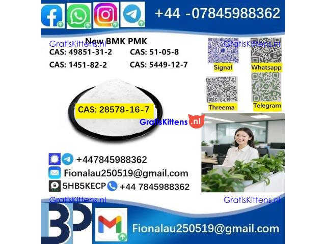 28578-16-7 P.M.K Powder P.M.K methyl glycidate