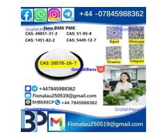 28578-16-7 P.M.K Powder P.M.K methyl glycidate