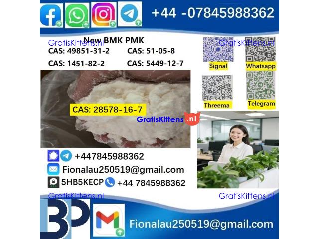 28578-16-7 P.M.K Powder P.M.K methyl glycidate