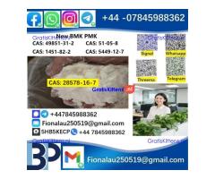 28578-16-7 P.M.K Powder P.M.K methyl glycidate