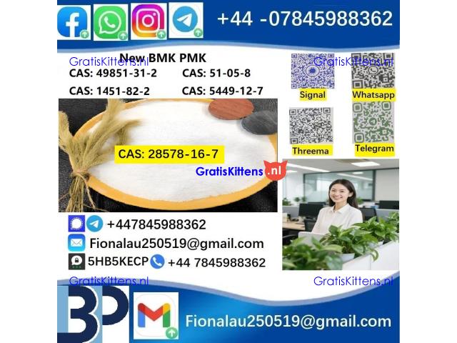 28578-16-7 P.M.K Powder P.M.K methyl glycidate