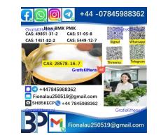 28578-16-7 P.M.K Powder P.M.K methyl glycidate
