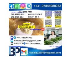 5449-12-7 New BM.K powder strong effect factory Large supply BM.K