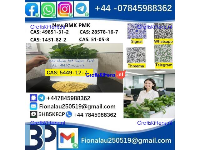 5449-12-7 New BMK powder strong effect factory Large supply