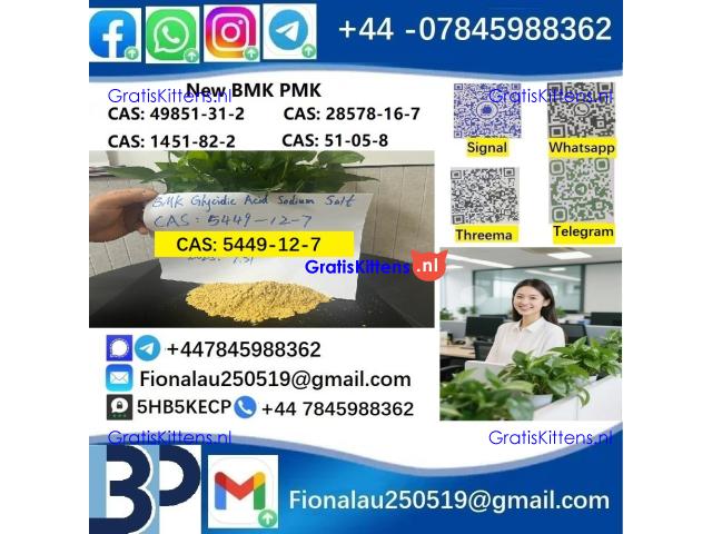 5449-12-7 BMK PMK Chemical raw materials
