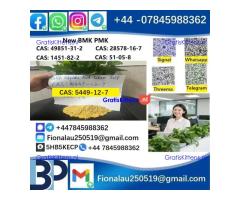 5449-12-7 BMK PMK Chemical raw materials