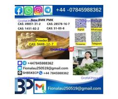 5449-12-7 BMK PMK Chemical raw materials