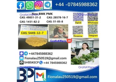 5449-12-7 BMK Glycidic Acid (sodium salt) 99% Powder