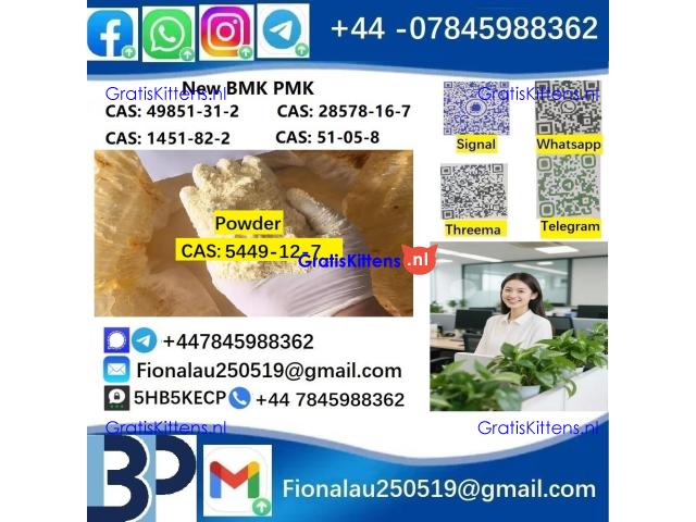 cas5449-12-7 B.MK Glycidic Acid (sodium salt) 99% Powder