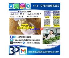 cas5449-12-7 B.MK Glycidic Acid (sodium salt) 99% Powder