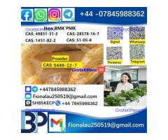 cas5449-12-7 B.MK Glycidic Acid (sodium salt) 99% Powder