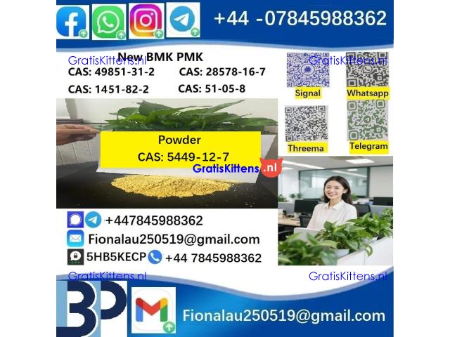 cas5449-12-7 B.MK Glycidic Acid (sodium salt) 99% Powder