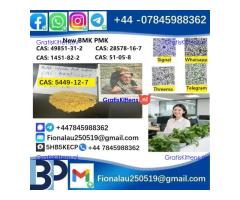 cas5449-12-7 B.MK Glycidic Acid (sodium salt) 99% Powder