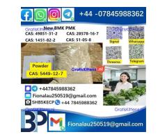 5449-12-7 BMK PMK Chemical raw materials high purity NICE