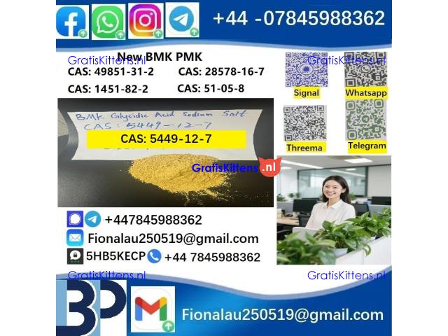 5449-12-7 BMK PMK Chemical raw materials high purity NICE