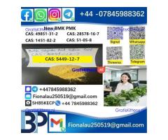 5449-12-7 BMK PMK Chemical raw materials high purity NICE