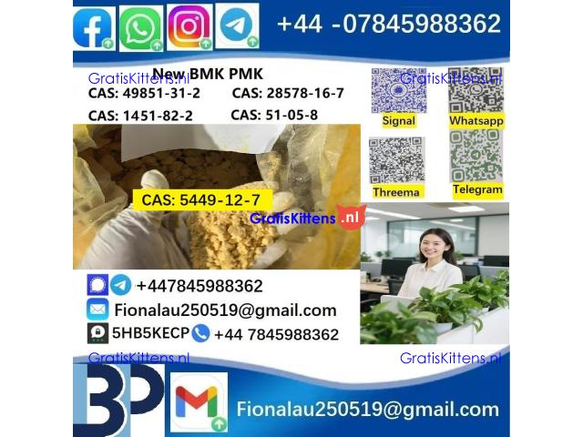 CAS 5449-12-7 BMK Glycidic Acid (sodium salt) 99% Powder