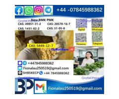 CAS 5449-12-7 BMK Glycidic Acid (sodium salt) 99% Powder
