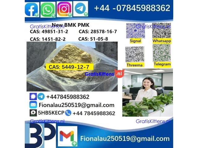 CAS 5449-12-7 BMK Glycidic Acid (sodium salt) 99% Powder