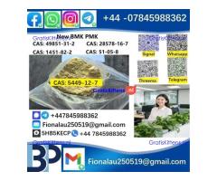 CAS 5449-12-7 BMK Glycidic Acid (sodium salt) 99% Powder