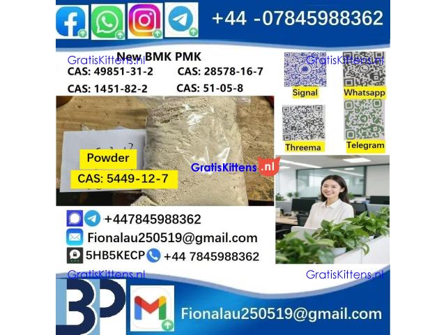 CAS 5449-12-7 BMK Glycidic Acid (sodium salt) 99% Powder